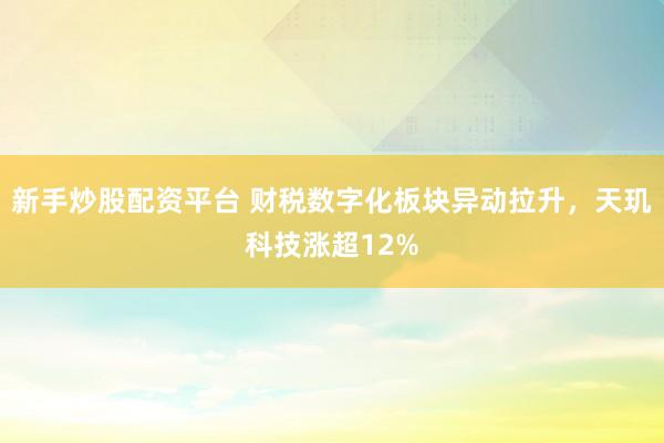 新手炒股配资平台 财税数字化板块异动拉升，天玑科技涨超12%