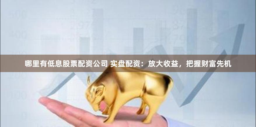 哪里有低息股票配资公司 实盘配资：放大收益，把握财富先机